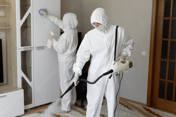 Best Post-Flood Mold Remediation in Lake Hallie, WI