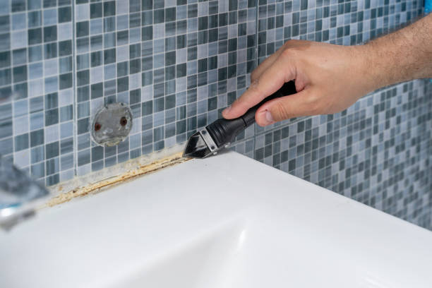 Best Kitchen Mold Remediation in Lake Hallie, WI