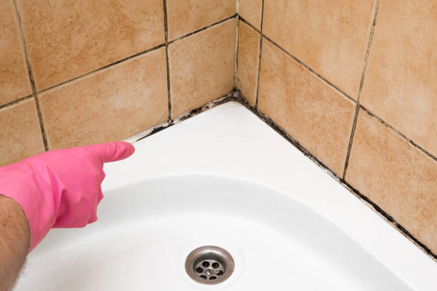 Best Residential Mold Remediation in Lake Hallie, WI